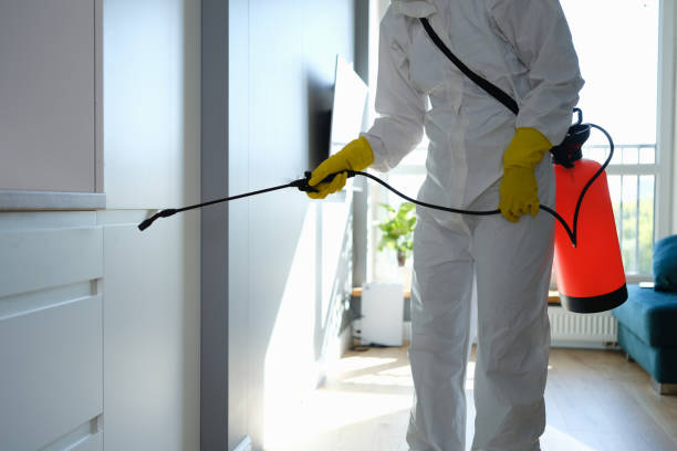 Best Mold Testing and Inspection Services in Wolfhurst, OH