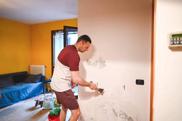 Best Residential Mold Remediation in Wolfhurst, OH